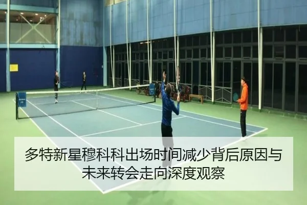 多特新星穆科科出场时间减少背后原因与未来转会走向深度观察